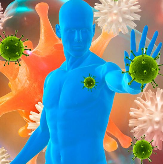 [Ольга Крупенина] Антивирусный иммунитет (2021)_0.png